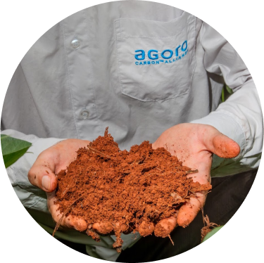 An agronomist picking up soil in his hands